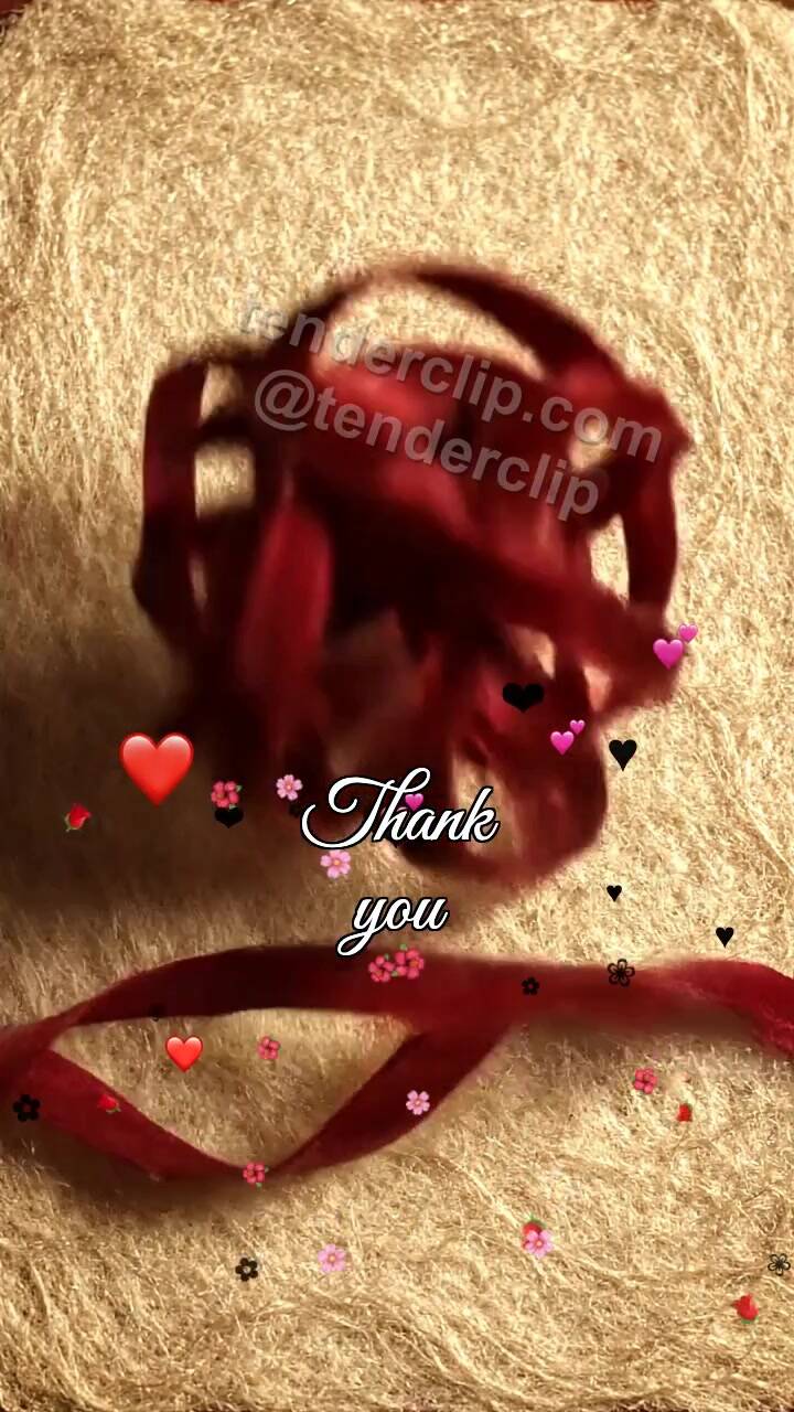 Animated greeting card about Thank you: ribbon becomes a bow