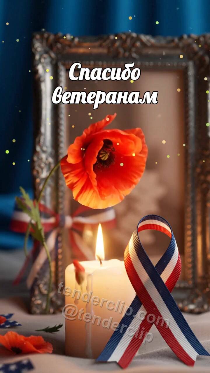 Анимационная открытка на тему Спасибо ветеранам: цветок мягко протягивают вперёд