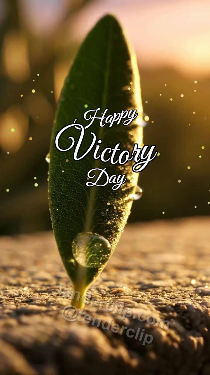 Animated greeting card about Happy Victory Day: Olive Leaf Catches Dawn