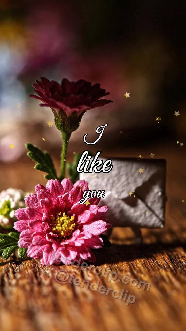Animated greeting card about I like you: shy envelope hides behind a flower