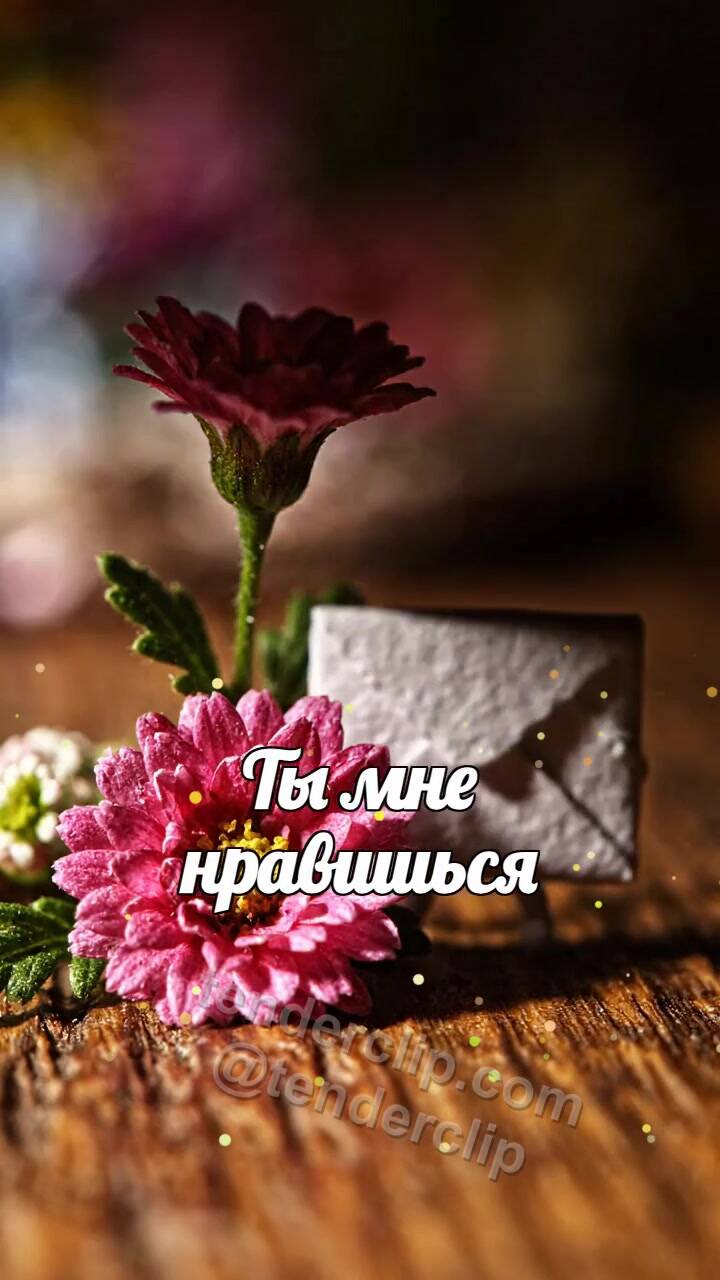 Анимационная открытка на тему Ты мне нравишься: робкий конверт прячется за цветком