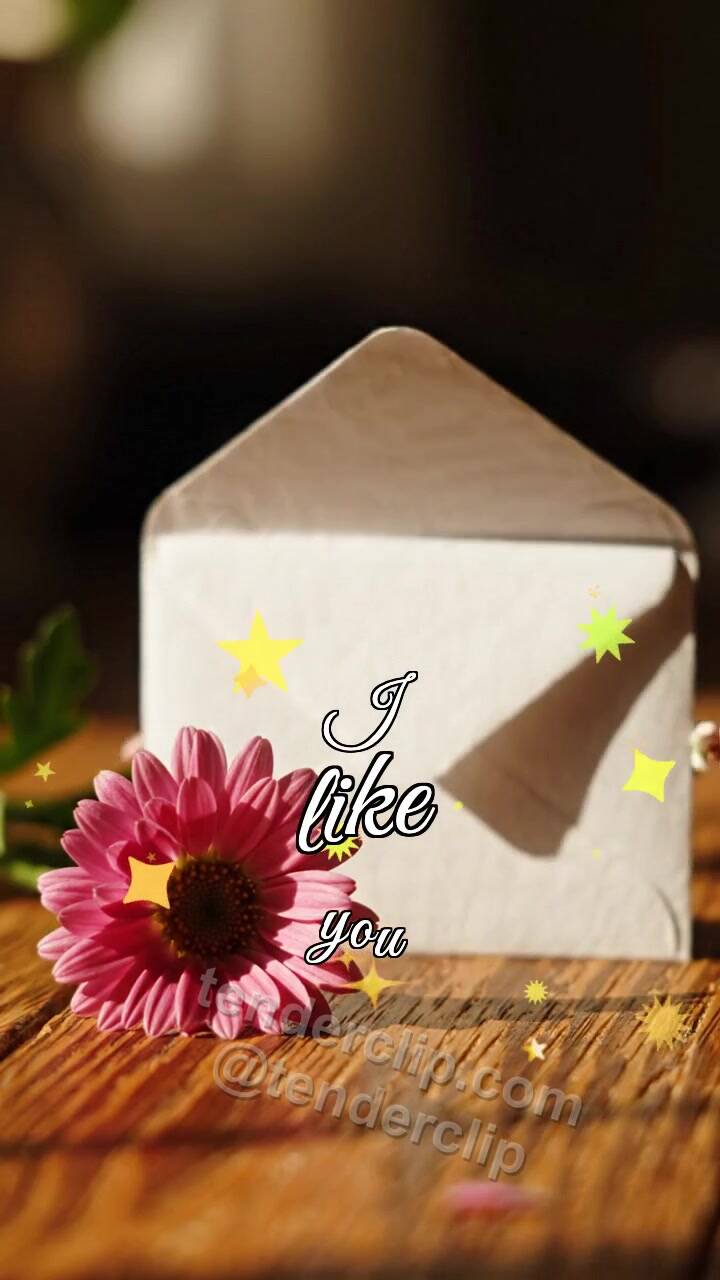 Animated greeting card about I like you: shy envelope hides behind a flower
