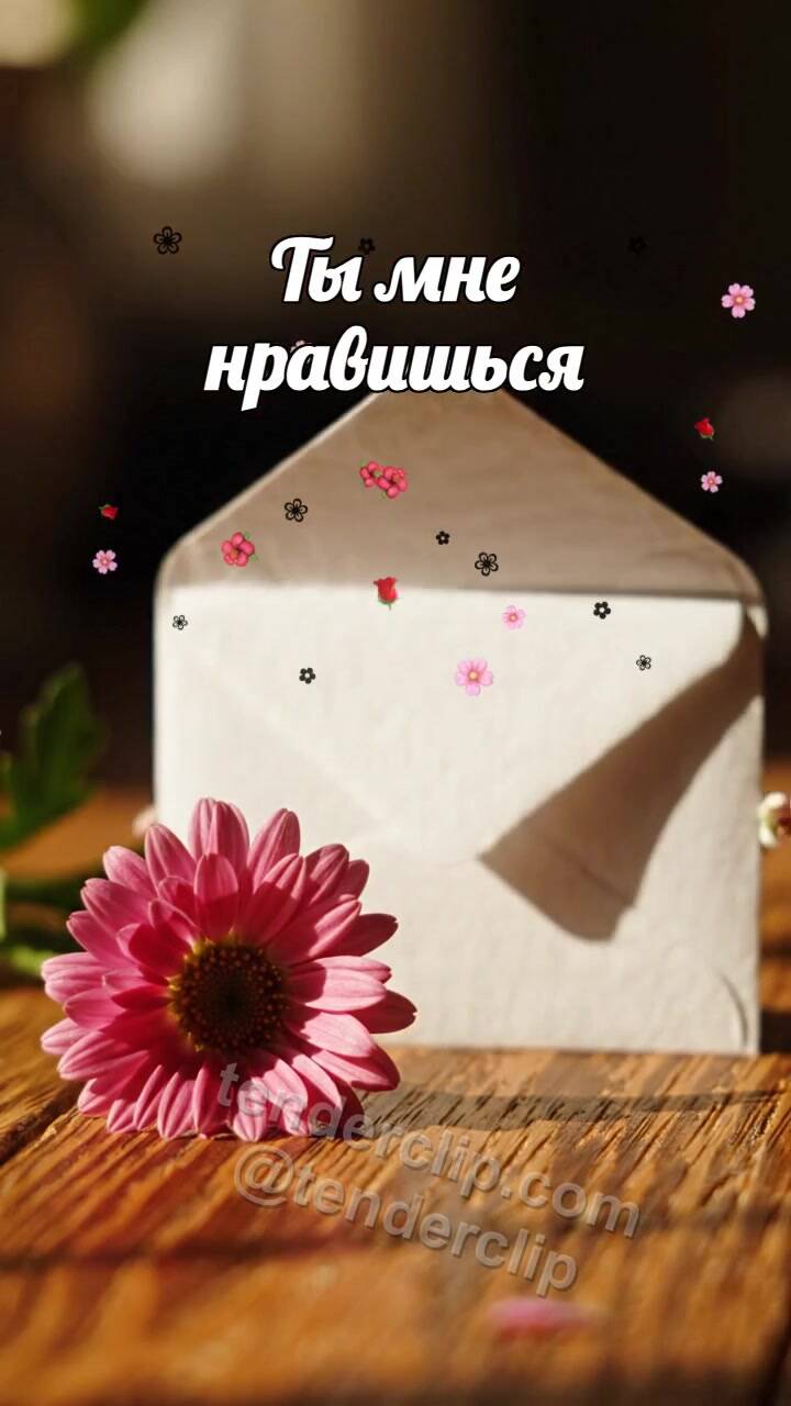 Анимационная открытка на тему Ты мне нравишься: робкий конверт прячется за цветком