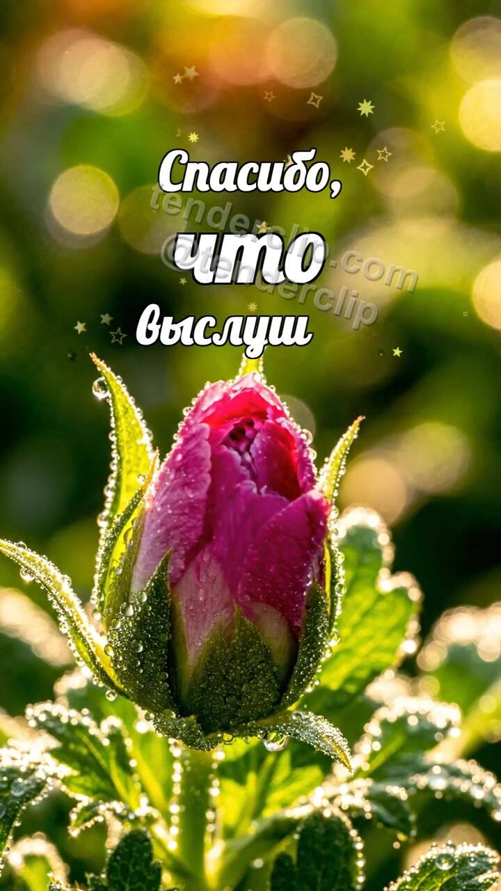 Анимационная открытка на тему Спасибо, что выслушал: бутон раскрывается