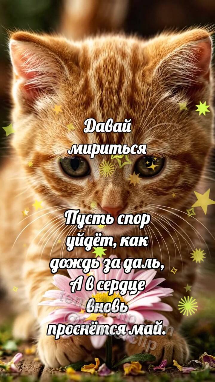 Анимационная открытка на тему Давай мириться: Котёнок приносит цветок