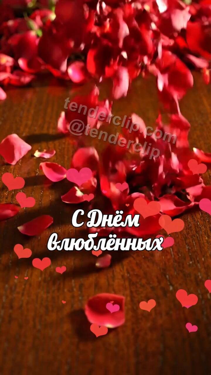 Анимационная открытка на тему С Днём влюблённых: лепестки собираются в сердце
