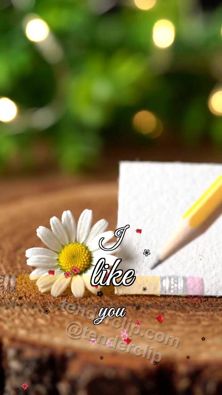 Animated greeting card about I like you: pencil hesitates near a blank card