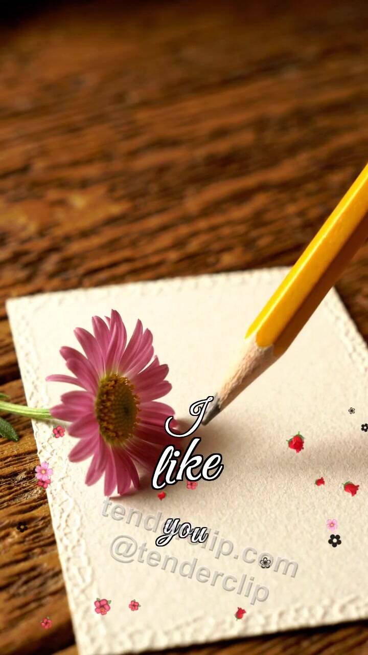 Animated greeting card about I like you: pencil hesitates near a blank card