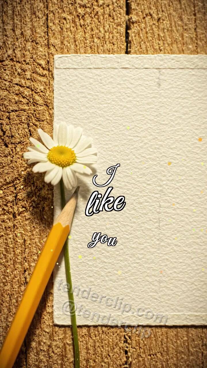 Animated greeting card about I like you: pencil hesitates near a blank card
