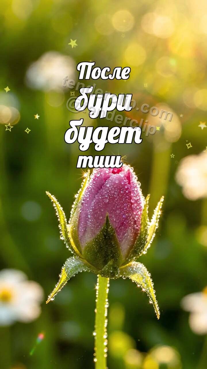 Анимационная открытка на тему После бури будет тише: бутон раскрывается