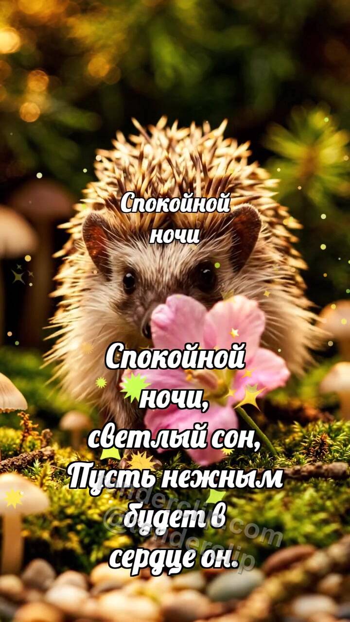 Анимационная открытка на тему Спокойной ночи: Ёжик несёт цветок