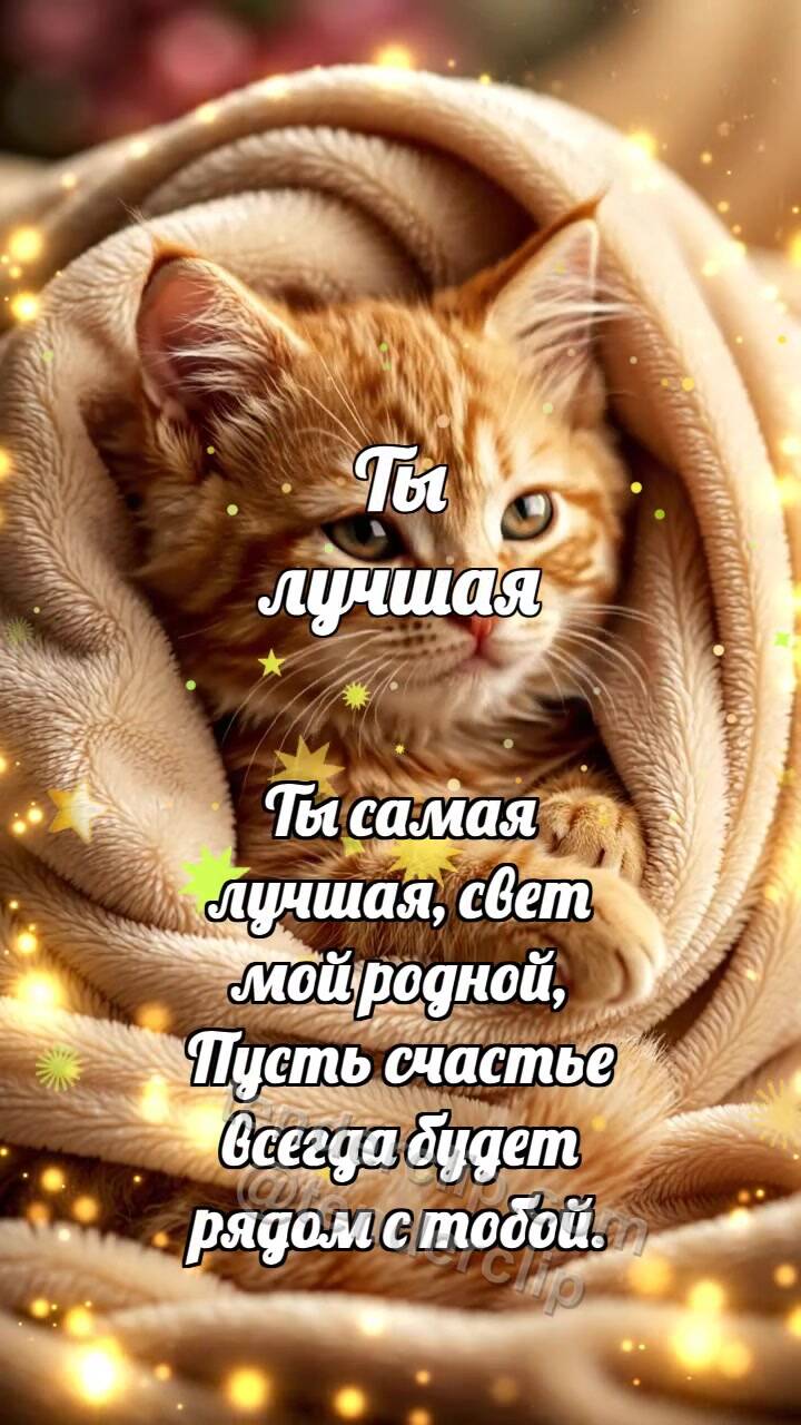 Анимационная открытка на тему Ты лучшая: Котёнок под большим пледом