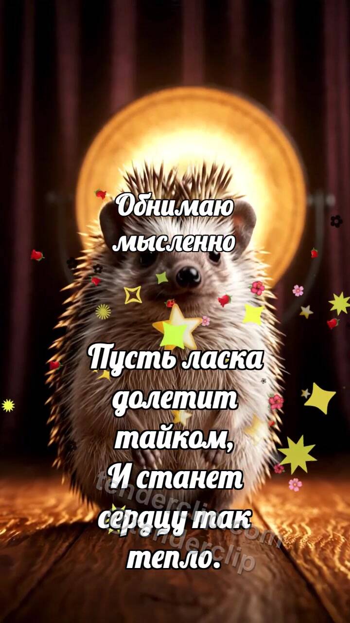 Анимационная открытка на тему Обнимаю мысленно: Ёжик в луче победы