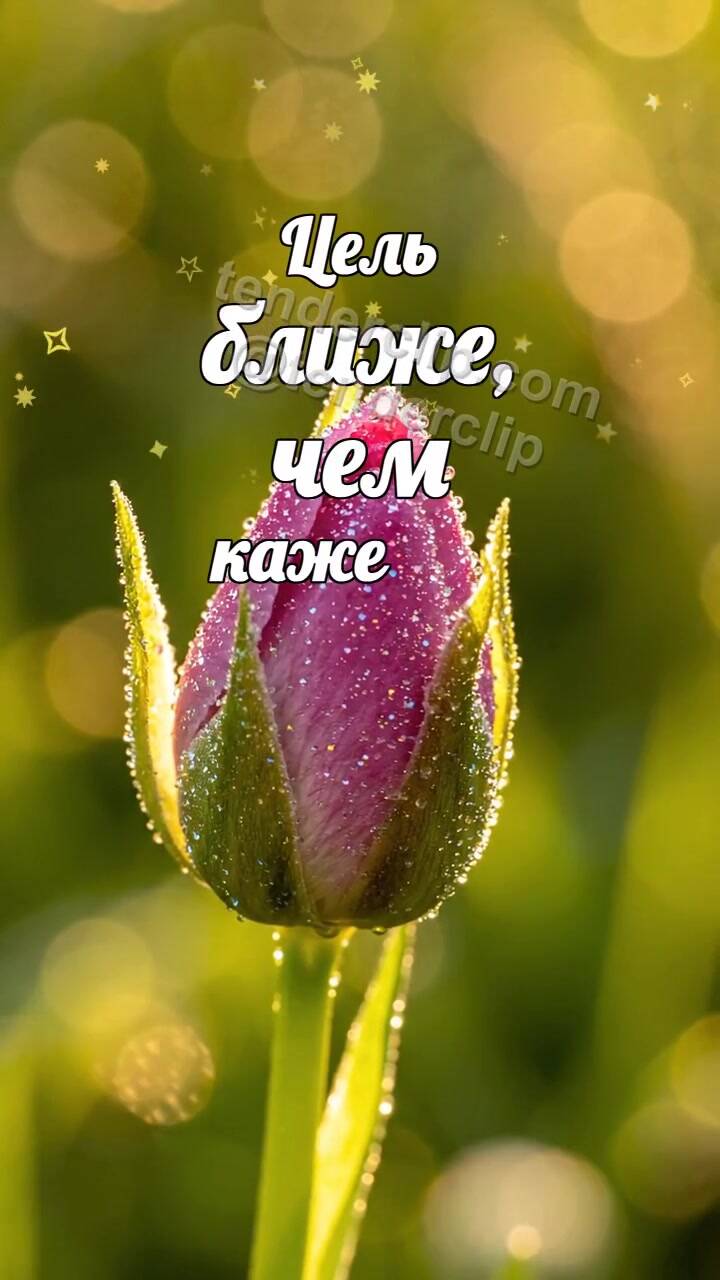Анимационная открытка на тему Цель ближе, чем кажется: бутон раскрывается