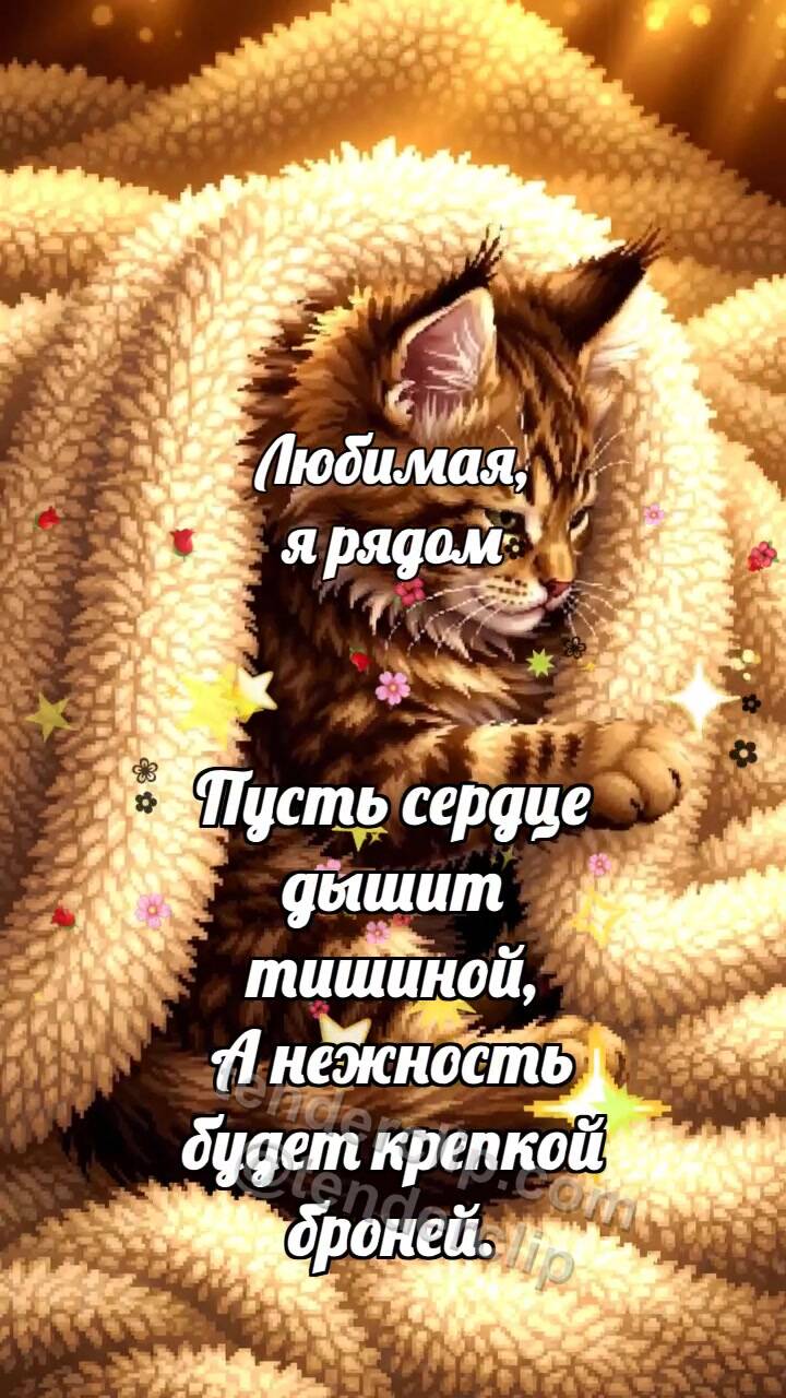 Анимационная открытка на тему Любимая, я рядом: Котёнок под большим пледом