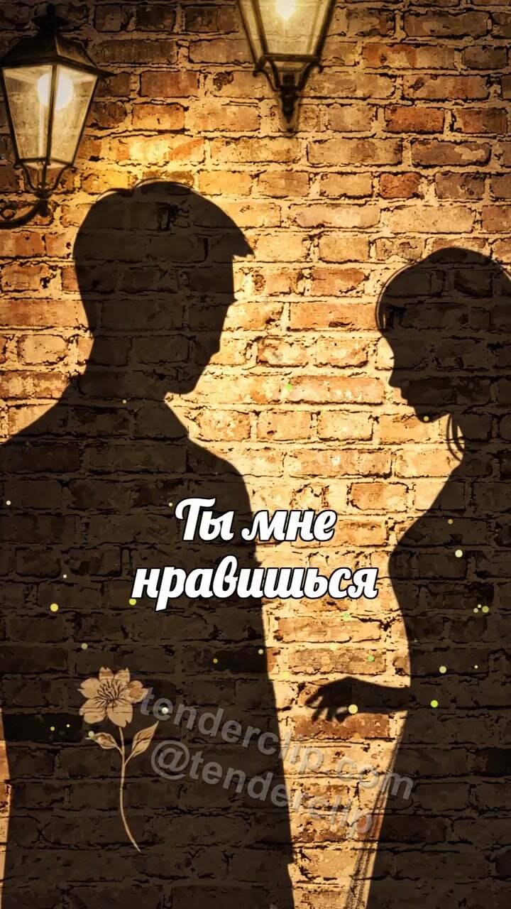 Анимационная открытка на тему Ты мне нравишься: тень мужчины дарит цветок женщине