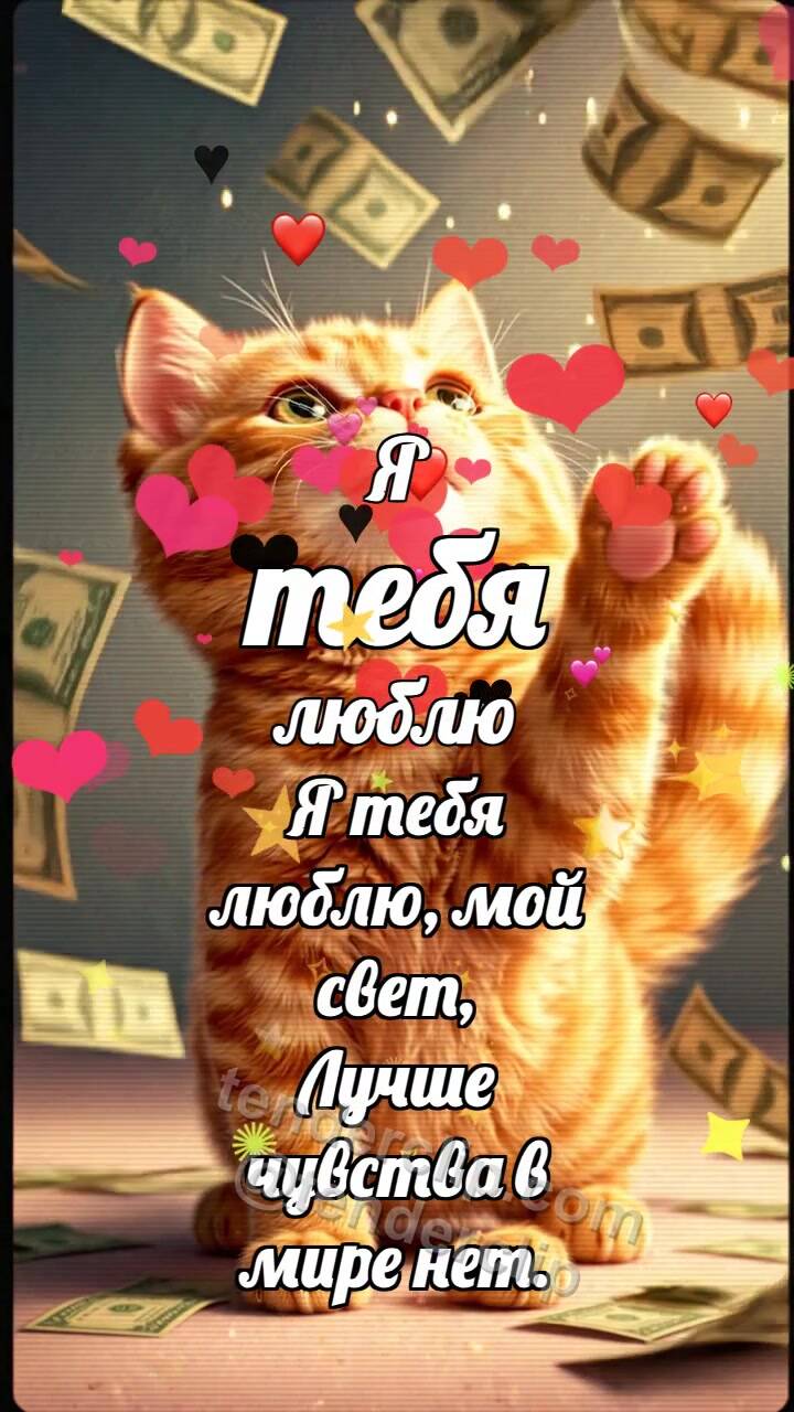 Анимационная открытка на тему Я тебя люблю: Котёнок под дождём денег
