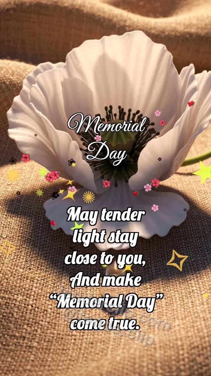 Animated greeting card about Memorial Day: White Poppy Lowers Shadow