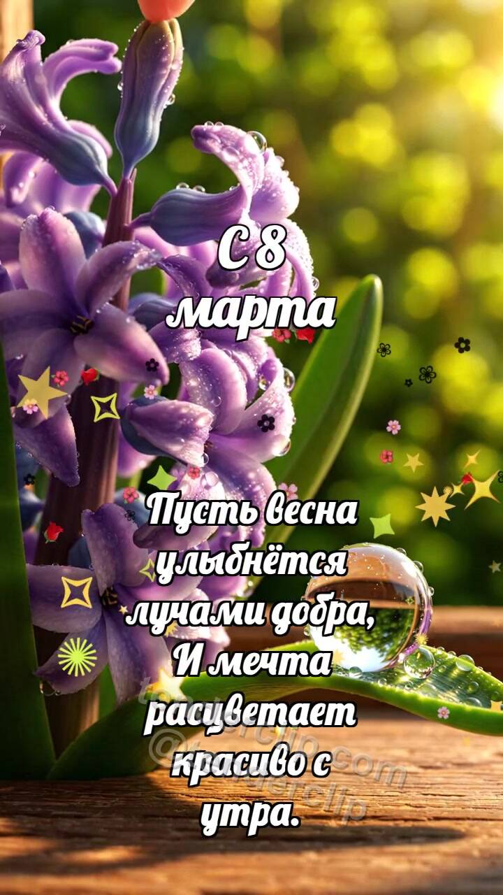 Анимационная открытка на тему С 8 марта: Гиацинтовая кисть будит каплю