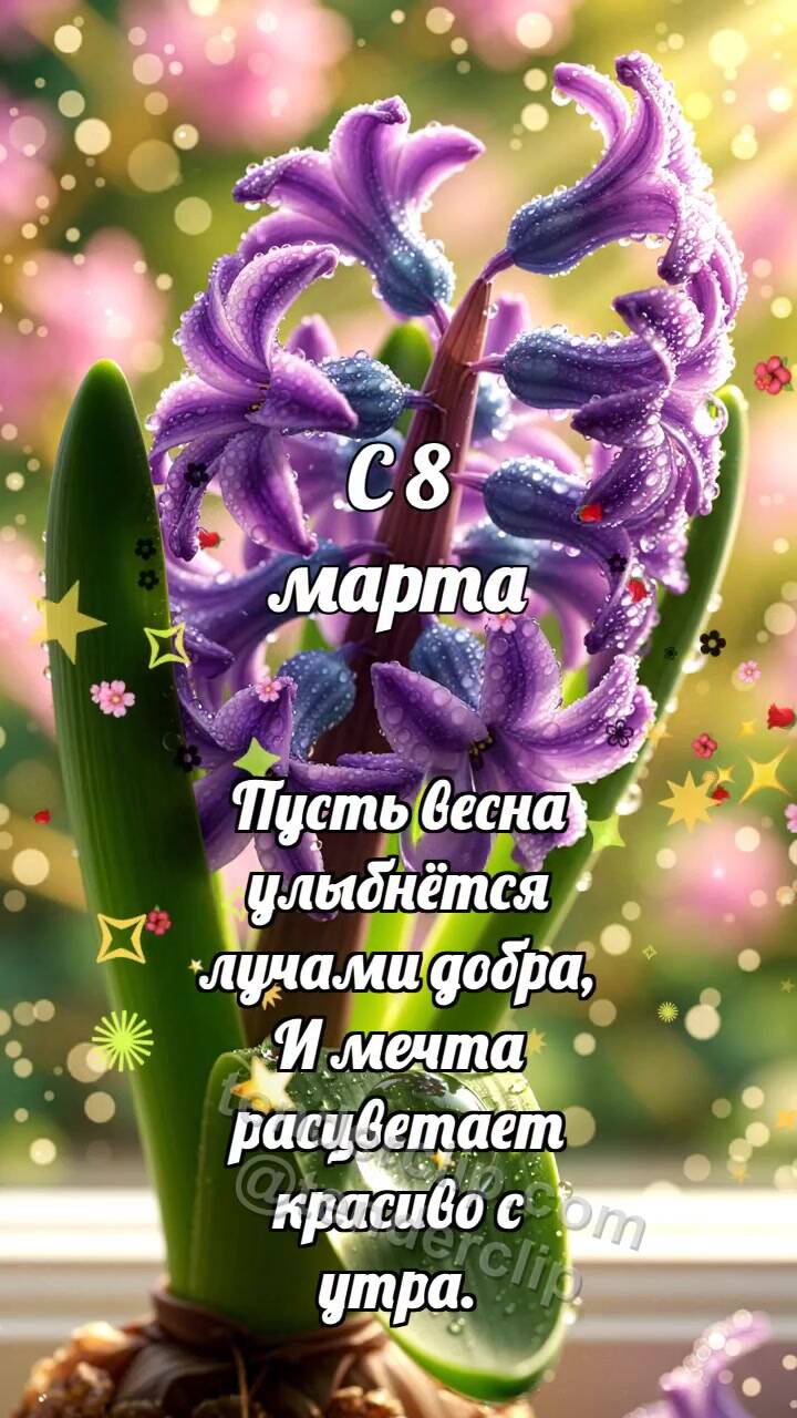 Анимационная открытка на тему С 8 марта: Гиацинтовая кисть будит каплю