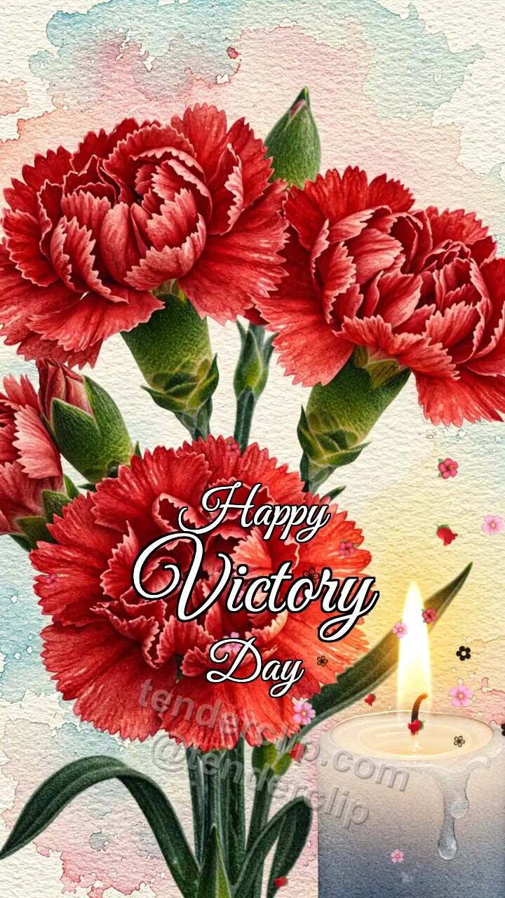 Animated greeting card about Happy Victory Day: carnations rest beside a candle