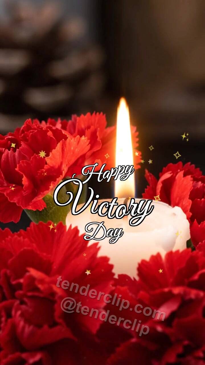 Animated greeting card about Happy Victory Day: carnations rest beside a candle