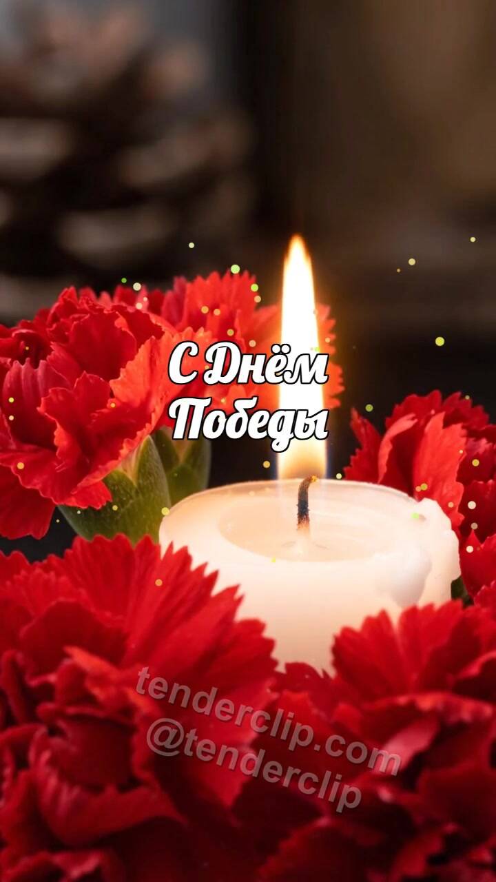 Анимационная открытка на тему С Днём Победы: гвоздики ложатся у тёплой свечи