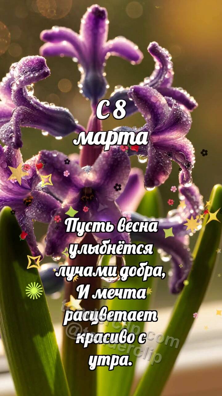 Анимационная открытка на тему С 8 марта: Гиацинтовая кисть будит каплю