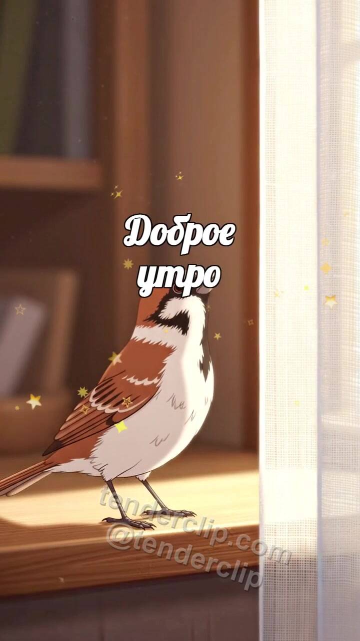 Анимационная открытка на тему Доброе утро: воробей открывает вид из окна