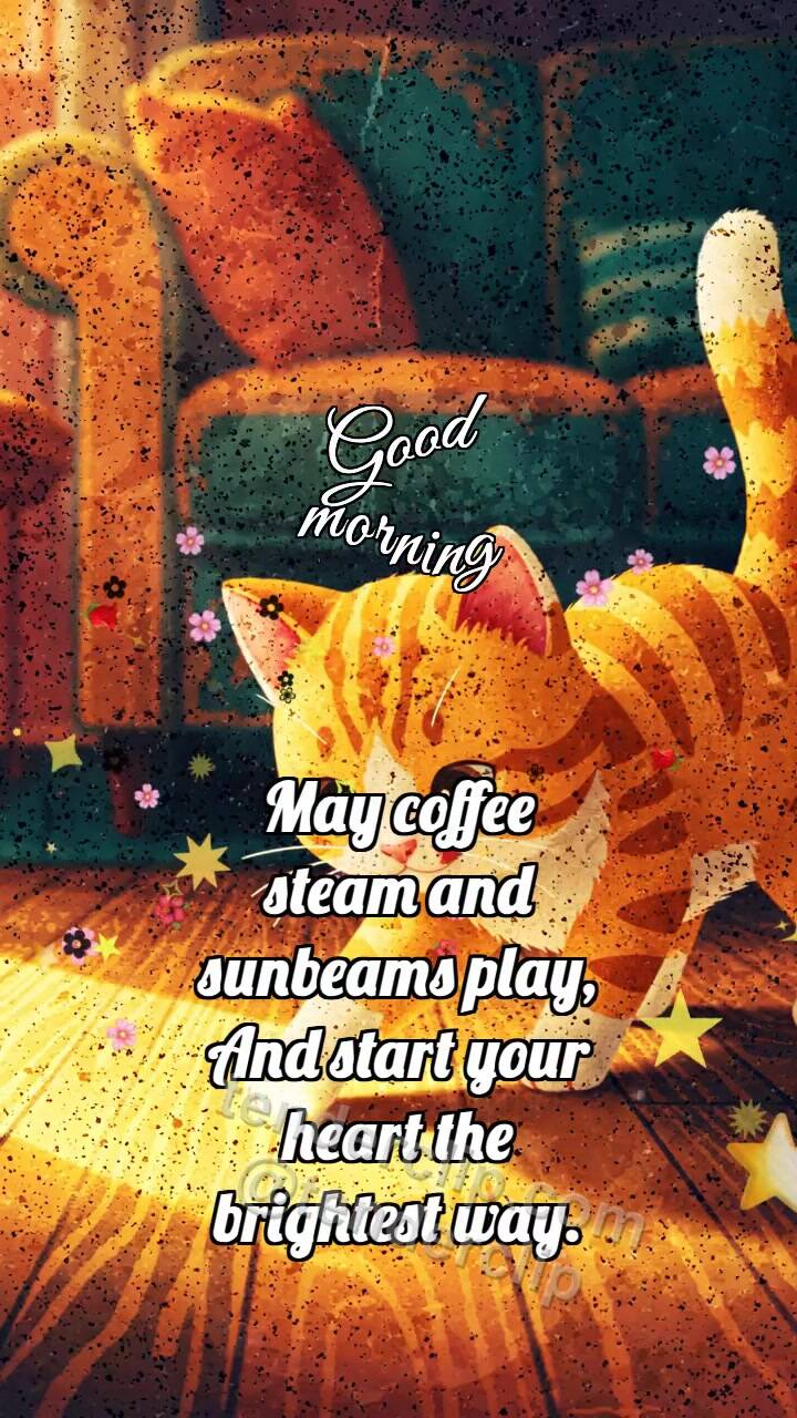 Animated greeting card about Good morning: Kitten Catches Sun