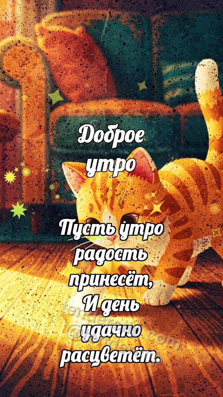 Анимационная открытка на тему Доброе утро: Котёнок ловит солнце