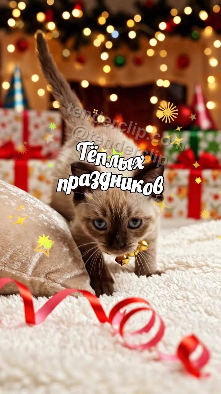 Анимационная открытка на тему Тёплых праздников: котенок ловит ленту