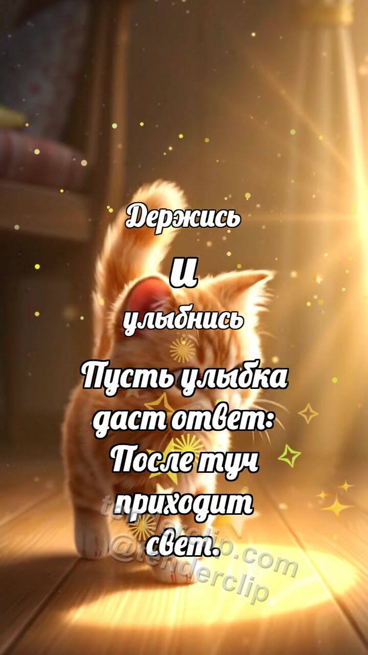 Анимационная открытка на тему Держись и улыбнись: Котёнок ловит солнце