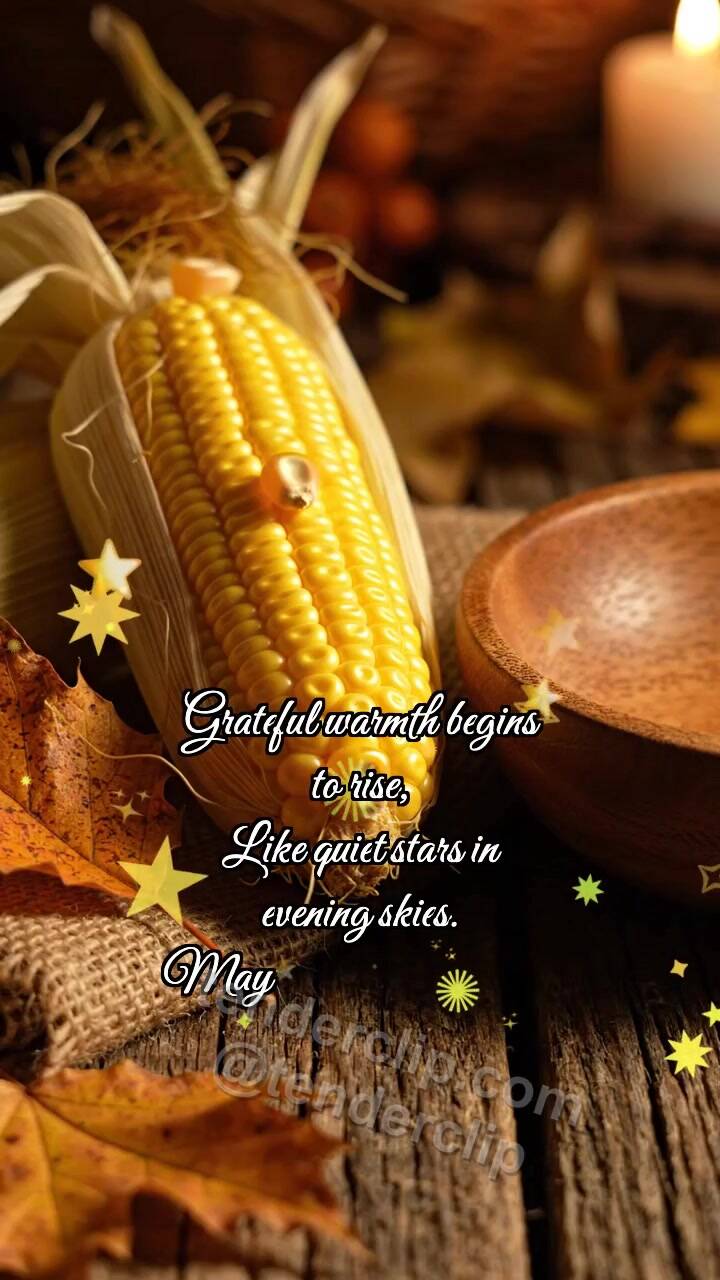 Animated greeting card about Happy Thanksgiving: Corn Drops Kernel