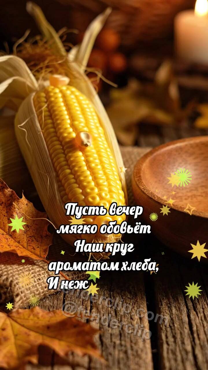 Анимационная открытка на тему С Днём благодарения: Кукуруза роняет зёрнышко