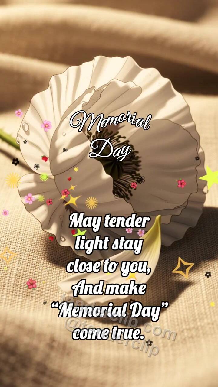 Animated greeting card about Memorial Day: White Poppy Lowers Shadow