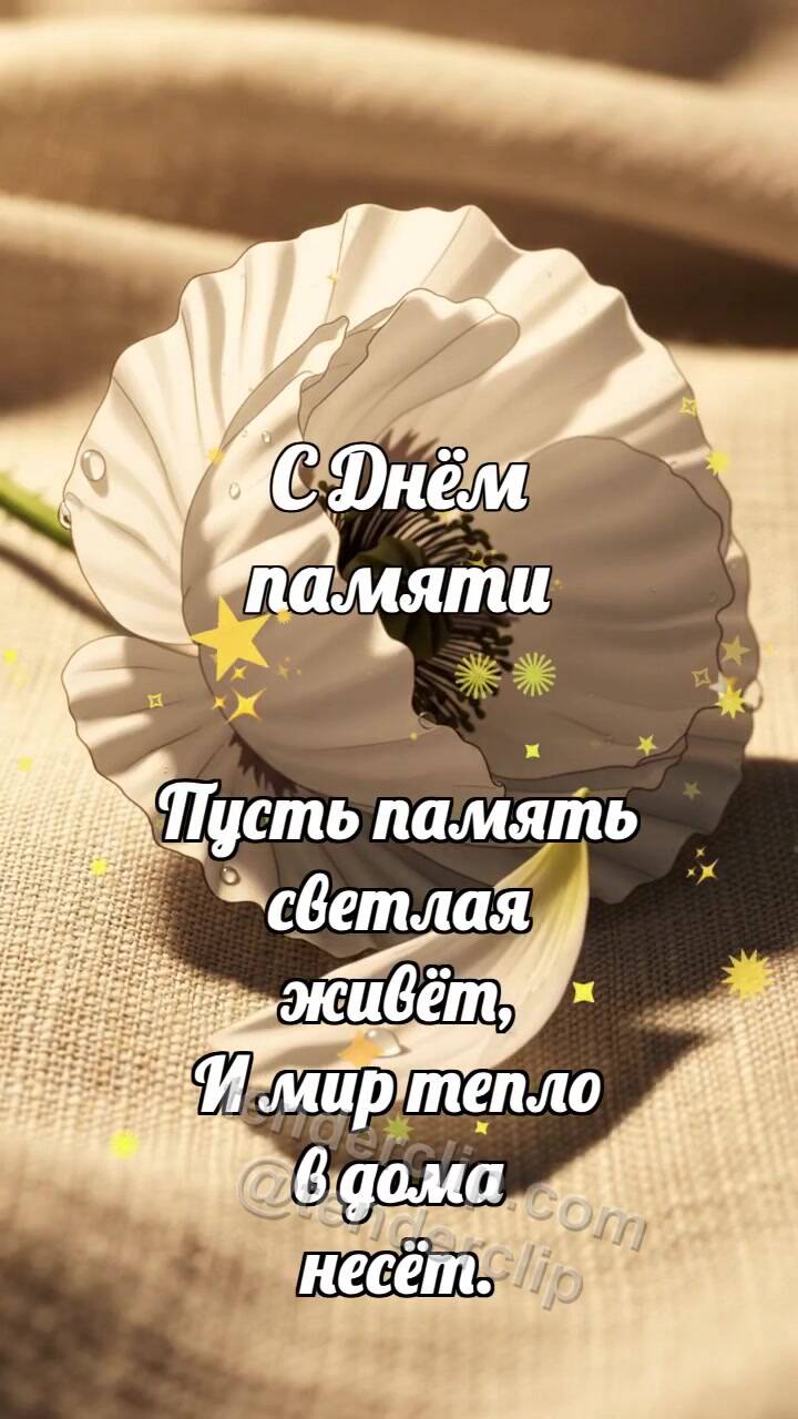 Анимационная открытка на тему С Днём памяти: Белый мак опускает тень