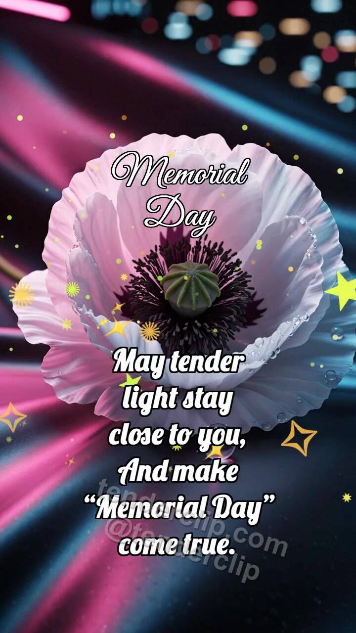 Animated greeting card about Memorial Day: White Poppy Lowers Shadow