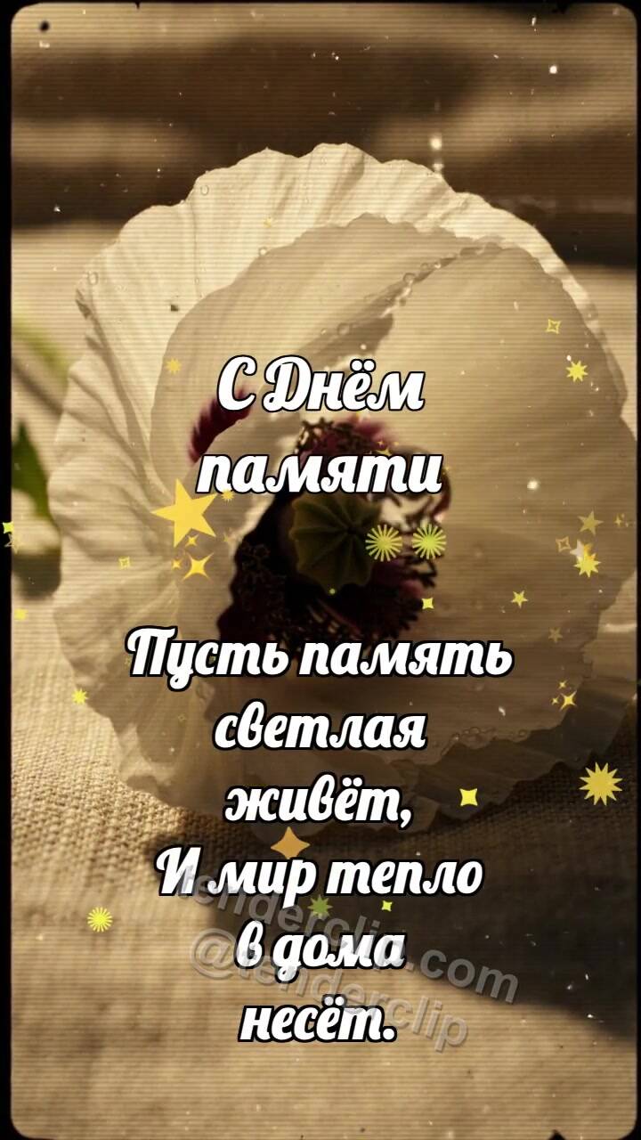 Анимационная открытка на тему С Днём памяти: Белый мак опускает тень