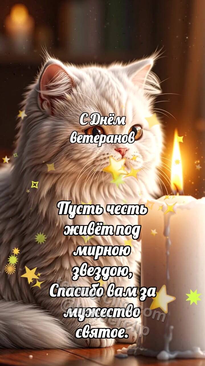 Анимационная открытка на тему С Днём ветеранов: Котёнок у свечи памяти