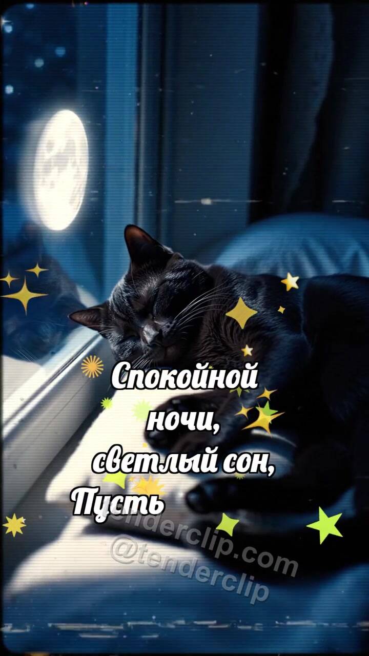 Анимационная открытка на тему Спокойной ночи: Луна укрывает кота