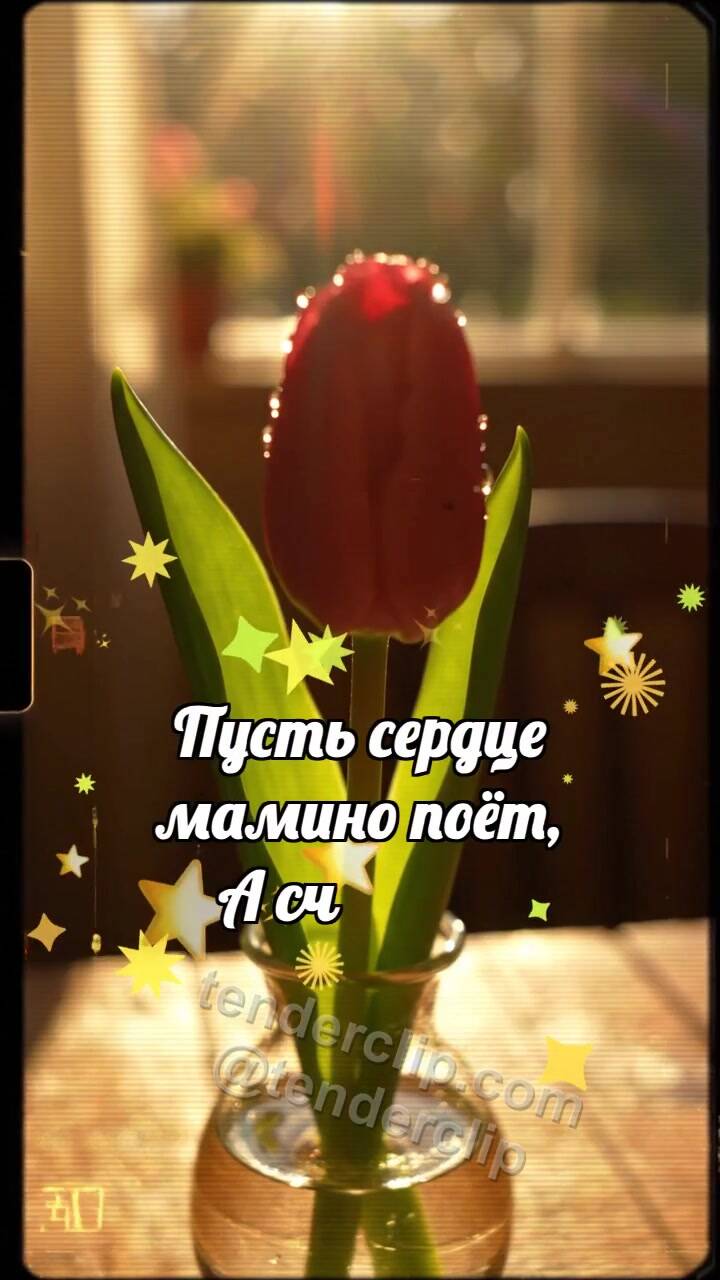 Анимационная открытка на тему С днём матери: Тюльпан прячет сердечко
