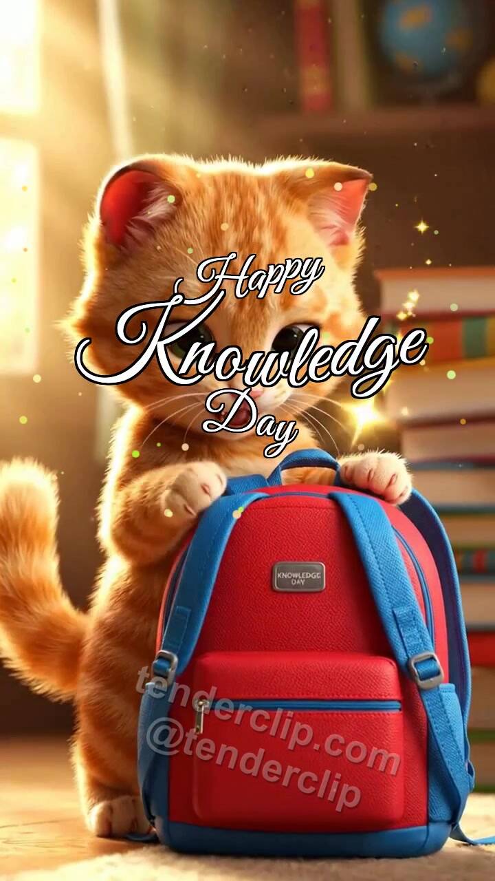 Animated greeting card about Happy Knowledge Day: Kitten With Bright Backpack