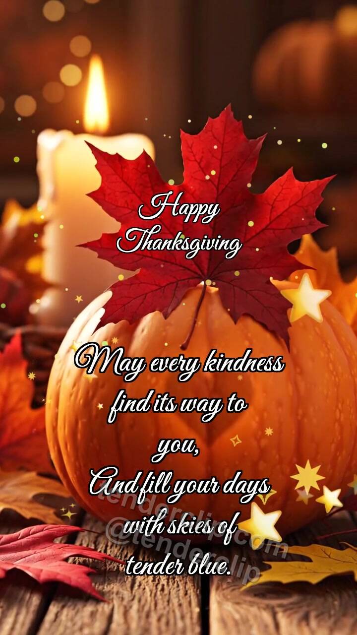 Happy Thanksgiving: Pumpkin Shares Warmth