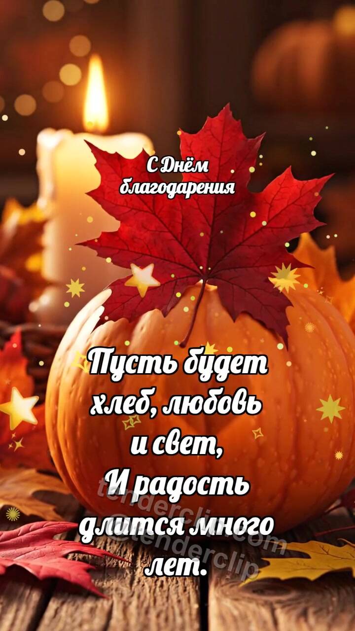 С Днём благодарения: Тыква делится теплом