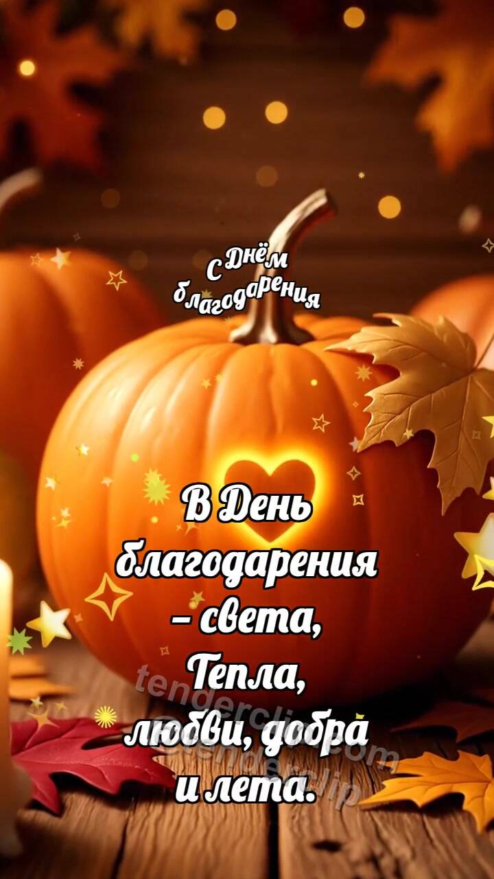 С Днём благодарения: Тыква делится теплом