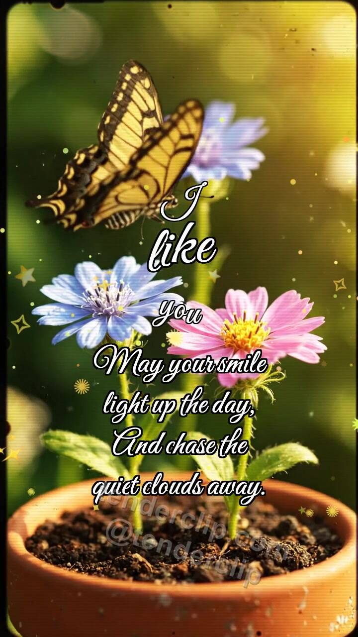 Animated greeting card about I like you: Butterfly Lands Nearby