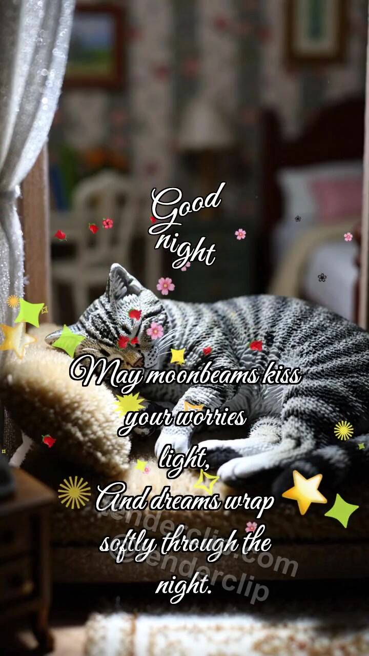 Good night: Moon Tucks Cat