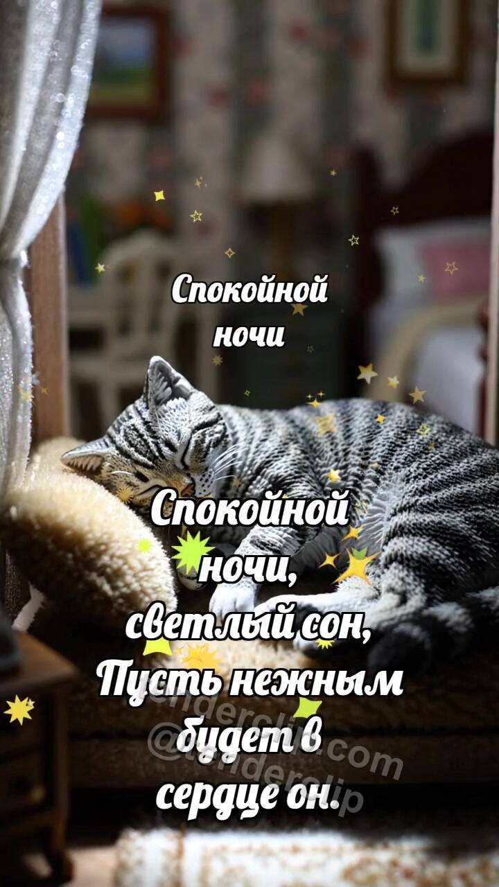 Спокойной ночи: Луна укрывает кота