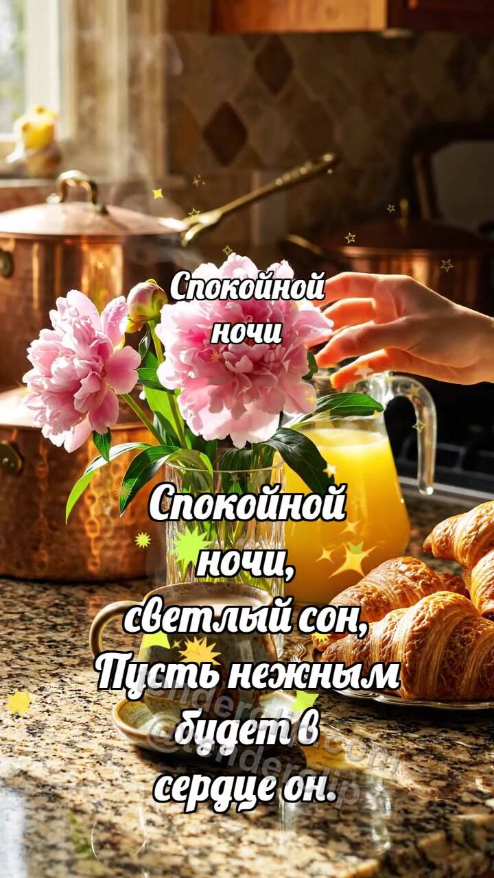 Спокойной ночи: Луна укрывает кота